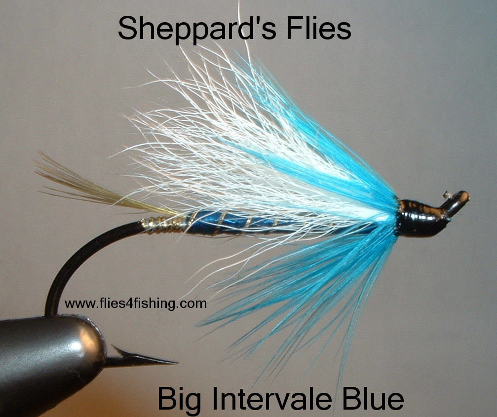 ルアー・フライ Salmon Fly Dressing Salmon Flies - Flies for salmon and sea trout fishing